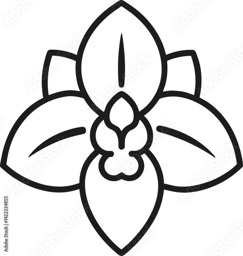 orchid line art vector