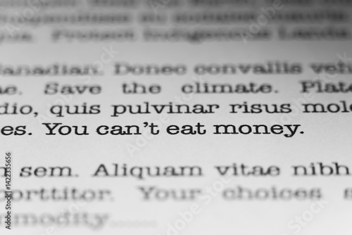 You cant eat money. Text printed on a page. A piece of paper with a phrase written in retro typewriter font.