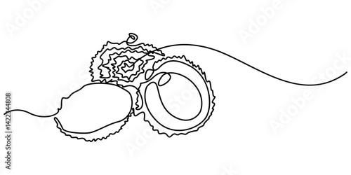 Single continuous line drawing of whole healthy organic lychee for orchard logo identity. Fresh summer fruitage concept for fruit garden icon. Modern one line draw design vector graphic illustration. 