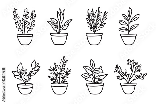 Chimichurri Line Drawing Artwork Set