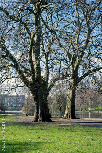 St. James’s Park Lake with Buckingham Palace in the Background