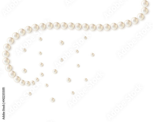 Beautiful vector image of strands of pearls, necklaces on a white background. Jewelry. Bead decoration. Vector illustration. White background. Border.