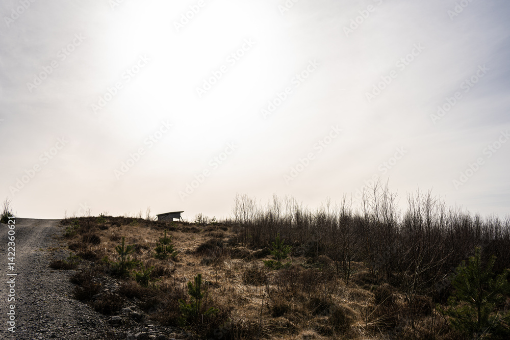 Rural landscape with small shelter under bright sky.