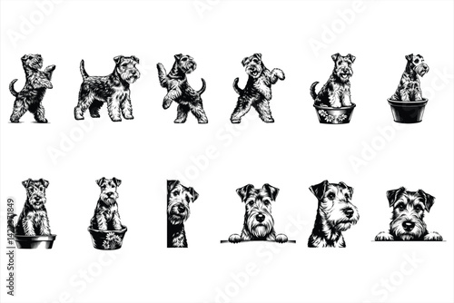 Welsh Terrier SVG Bundle