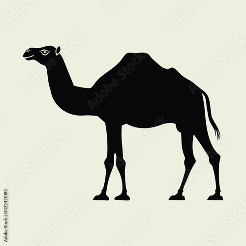 Camel Silhouette, Wildlife
