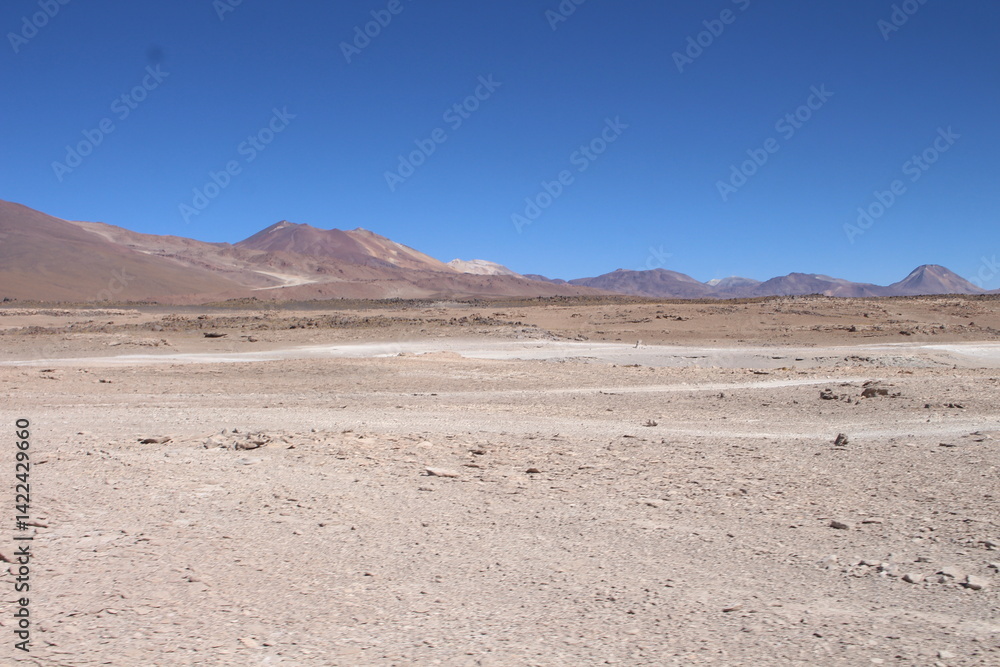 Lagoons, volcanoes and geysers in the Uyuni desert Lagoons, volcanoes and geysers in the Uyuni desert