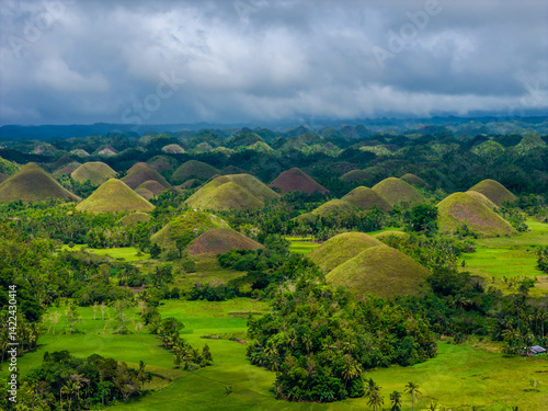 Aerial drone view of Chocolate hills in Bohol island, Philippines. Panoramic view of geological formation of green and brown hills