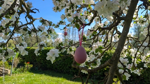 Blütenzeit mit Osterei im Baum