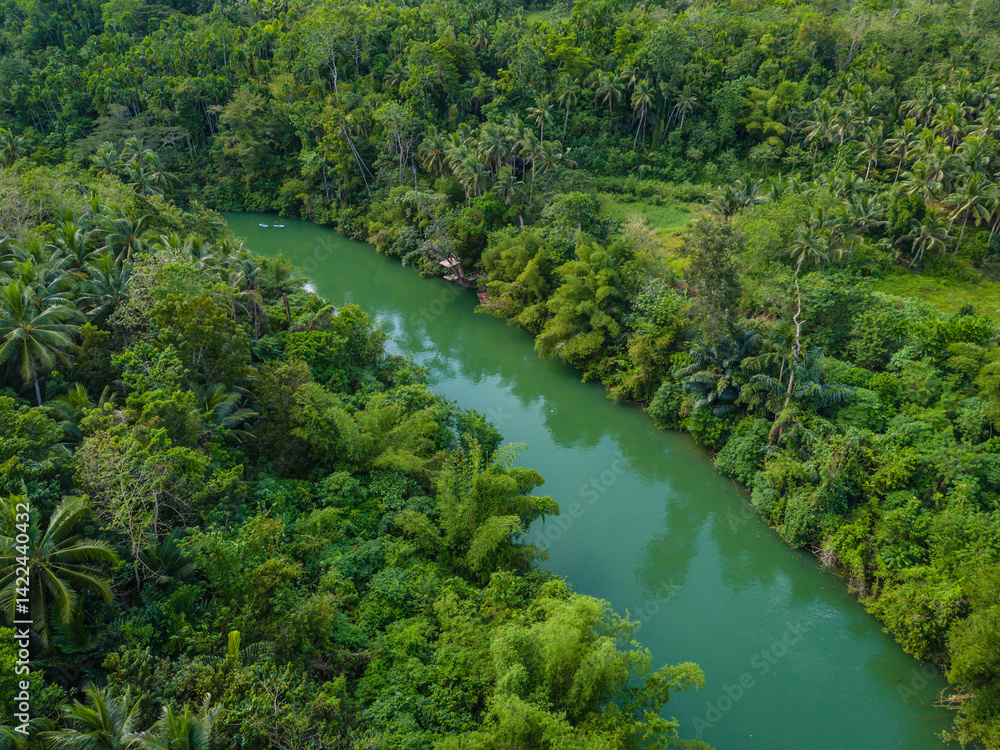 Loboc River with palm trees in Bohol island, Philippines. Aerial drone view of river popular for river cruises Loboc River with palm trees in Bohol island, Philippines. Aerial drone view of river popular for river cruises