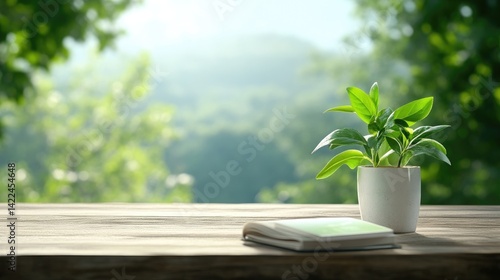Peaceful outdoor scene