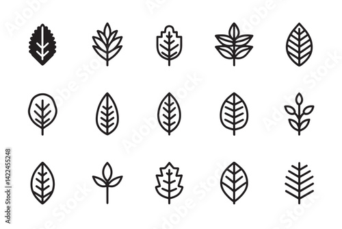Mint Leaf Flat Herbal Icon Graphic
