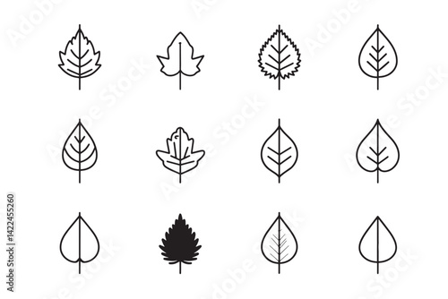 Mint Leaf Minimal Botanical Art Icon