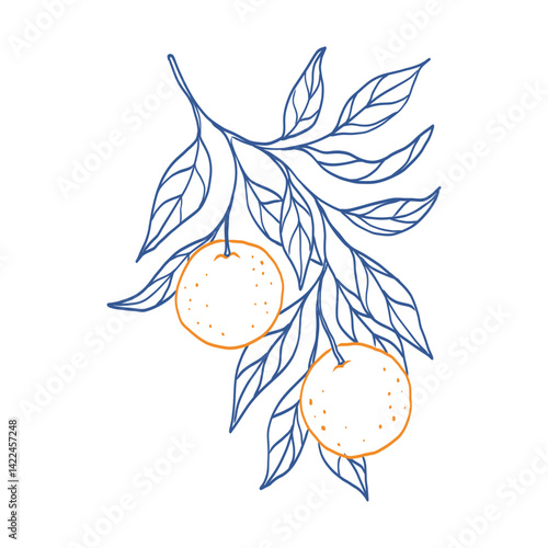 A blue and orange drawing of an orange tree branch with two oranges on it. The drawing has a light and cheerful mood