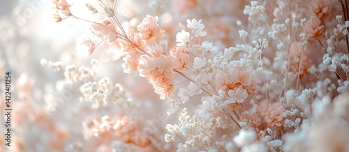 Delicate Pastel Flowers Closeup