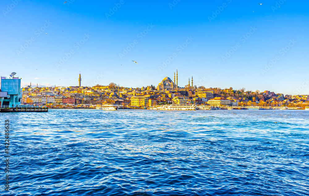 The view on Fatih district through Golden Horn Bay in Istanbul, Turkey