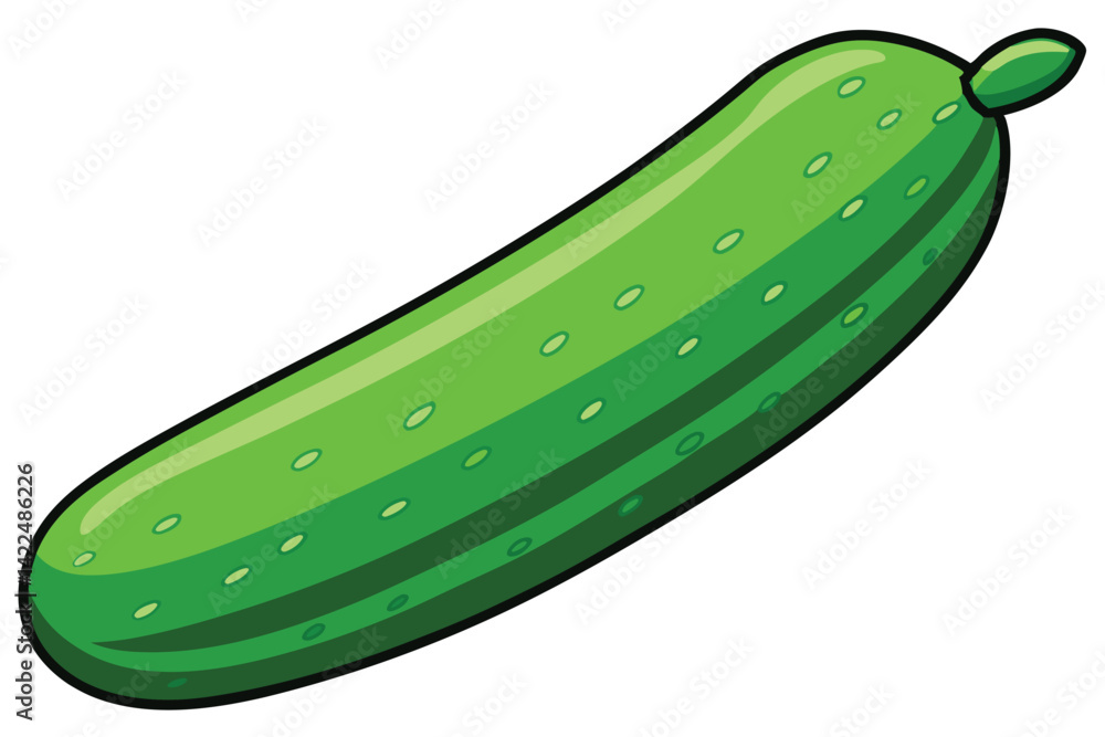 green cucumber isolated vector on white green cucumber isolated vector on white