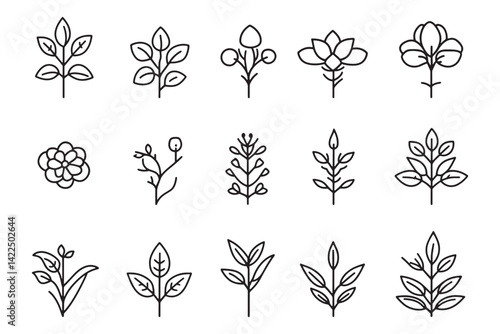 Minimalist sage icon 2D line art design