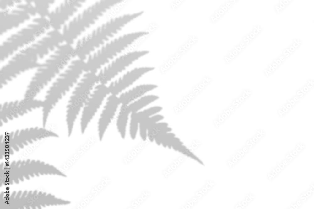 Naklejka premium Fern branch shadow. Leaf shadow overlay. Sunlight trough the leaf. Nature organic shadow. Blurred Leaf shadow and light on wall background. 3d rendering