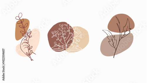 set of different autumn leaves