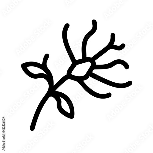 witch hazel icon  flat vector icon