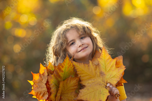 Child portrait in autumn fall park. Little child in autumn orange leaves, outdoor portrait. Cute child face with autumn leaves in autumn park. Child hold falling leaves. Outdoor portrait of kids.