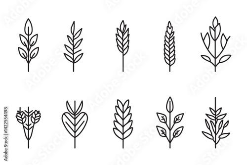 Triticale ultra minimalist 2D line art