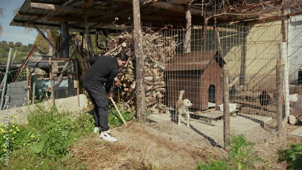 man cleans the garden at early morning man cleans the garden at early morning