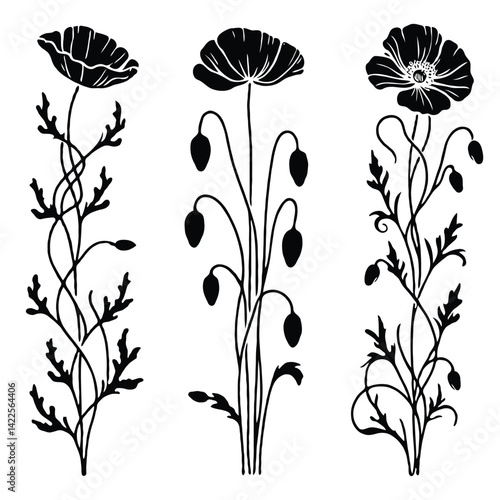 Hand drawn wild flowers Botanical drawing, line art poppies border  illustration. Black and White vintage frieze Meadow poppy stems. Simple Stylized blooming plants. Set of outline ornament floral