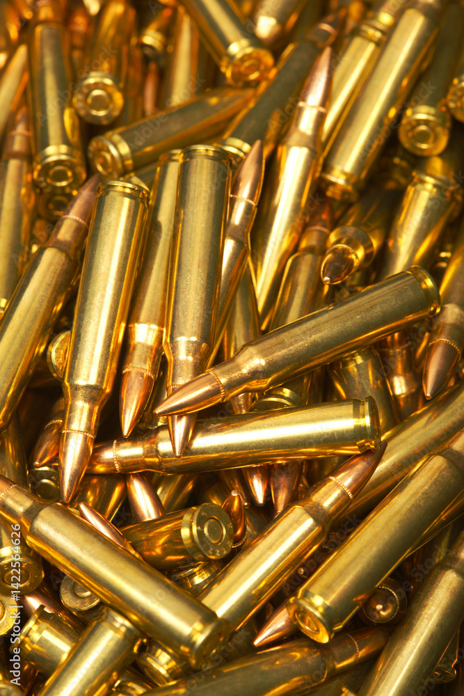 Naklejka premium Group of 223 Remington