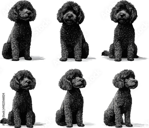 Six illustrations of black poodle dogs sitting in different positions over white background
