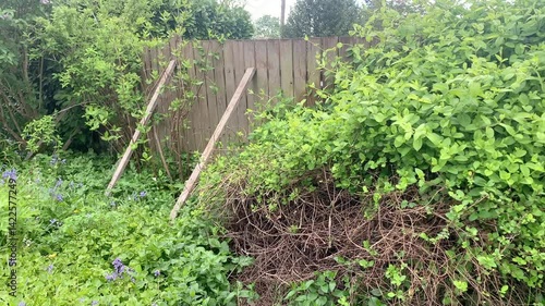 Leaning board fence with props