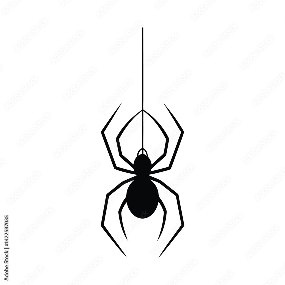 Obraz premium Spider Hanging from Web Silhouette