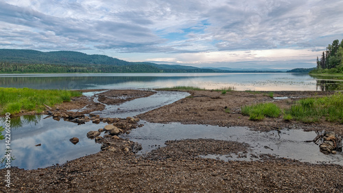 Wetlands at the edge of Mcleod Lake at Whiskers Point Provincial Park, British Columbia, Canada