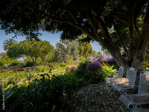 Shade and shadow in a meadow garden setting with sunlight cascading down on the greenery