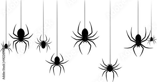 Hand drawn vector illustration of four distinct spiders suspended on threads in varying sizes and poses
