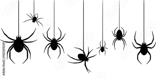 Hand drawn vector illustration of four distinct spiders suspended on threads in varying sizes and poses
