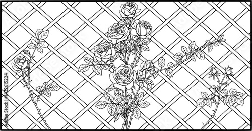 Hand drawn vector sketch of roses and trellis design featuring intricate floral patterns
