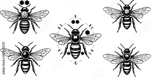 Detailed hand-drawn vector illustration sketch of bees exploring honeycomb structures in a natural setting
