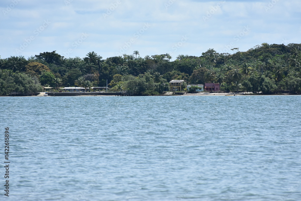 Fototapeta premium barra grande