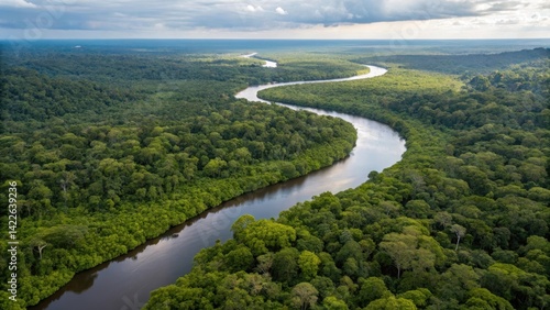 Aerial view of amazon rainforest with river winding through lush green trees landscape scenery beauty 100