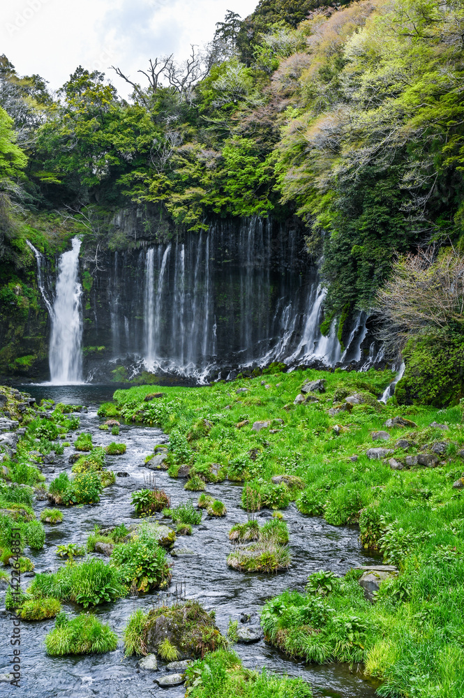 日本静岡富士宮の白糸の滝