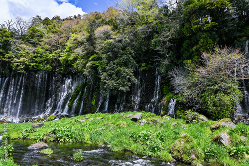 日本静岡富士宮の白糸の滝
