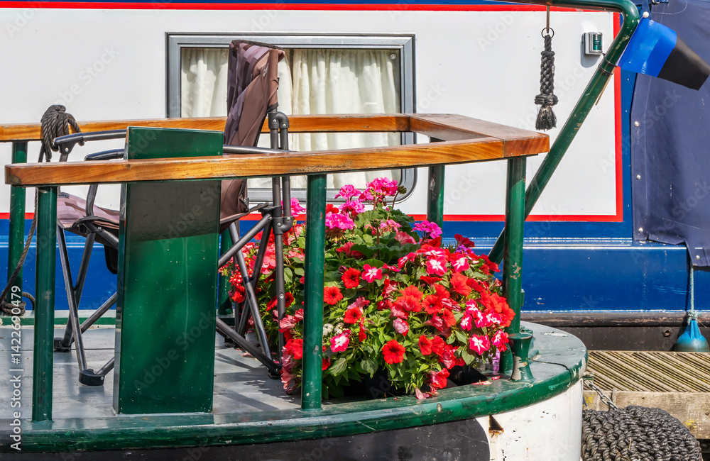 Colourful pelagoniums and petunias on the back of a narrowboat