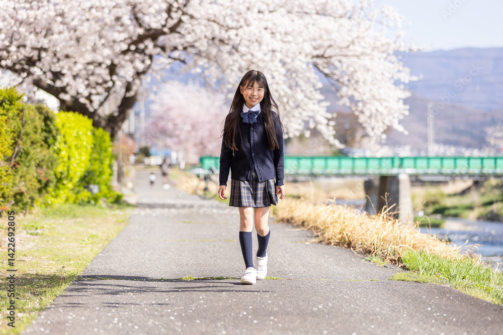 桜並木を歩く学生