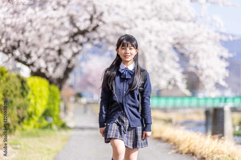 桜並木を歩く学生