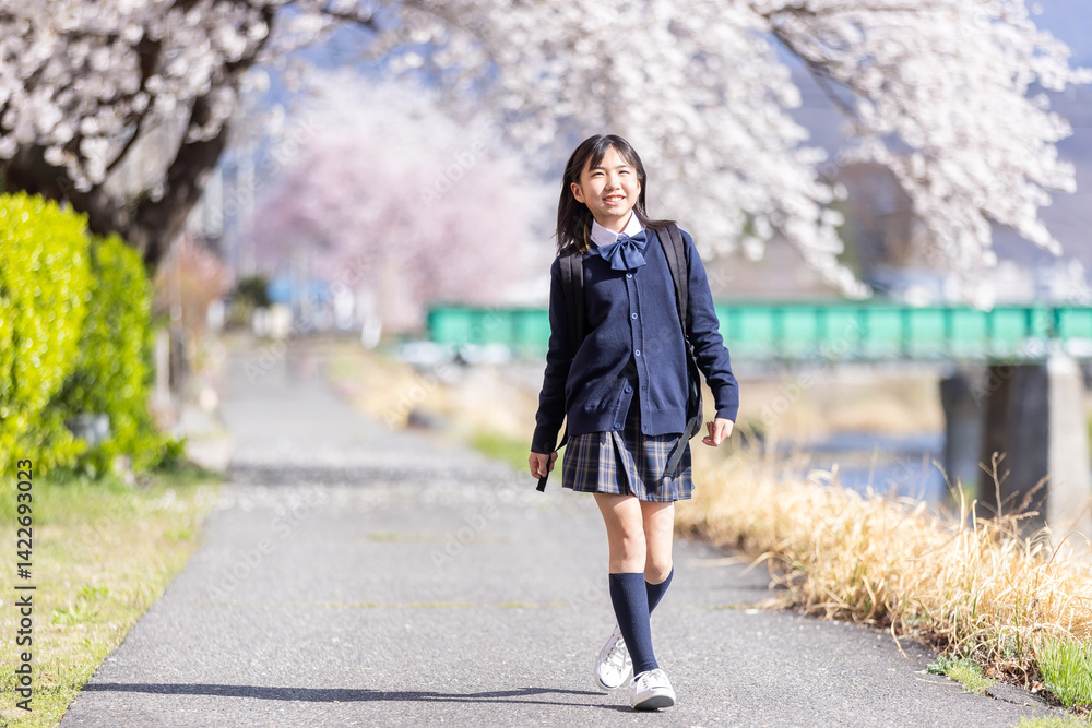 桜並木を歩く学生