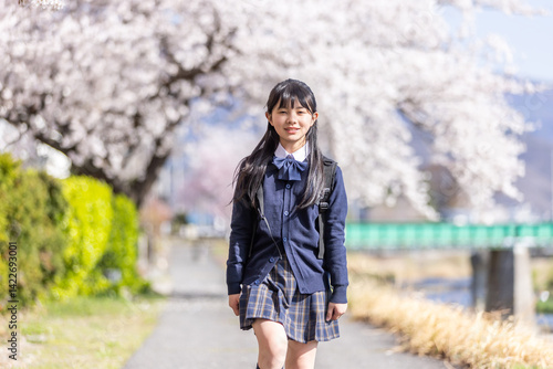Obraz na płótnie 桜並木を歩く学生 w salonie