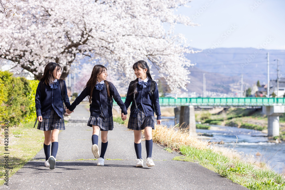 桜並木を歩く学生