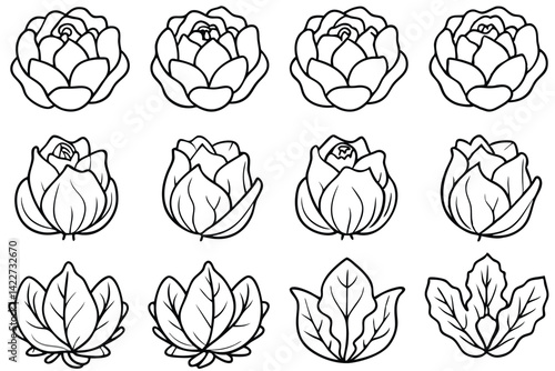 Cabbage recipes for delicious nutritious meals