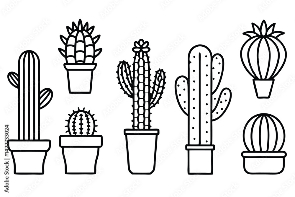 Cactus Minimal Trends for Elegant Minimalist Living Cactus Minimal Trends for Elegant Minimalist Living